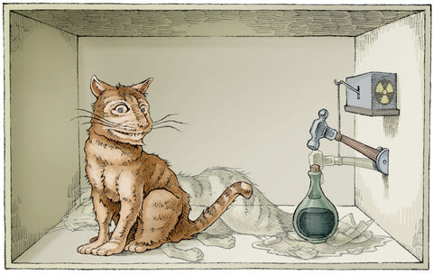 Schrödinger's Persian Kitten Kit